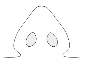 小さすぎる鼻の穴