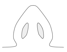 コンセント鼻